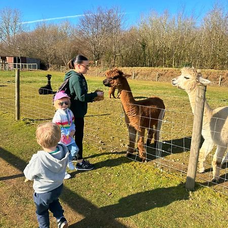 Glade Lodge- North Devon Coast, Bideford Bay Caravan Park Bagian luar foto